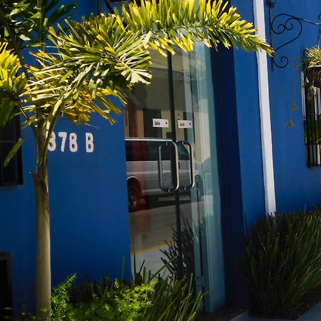 Hotel Boutique Casa Flor De Mayo Mérida Zewnętrze zdjęcie