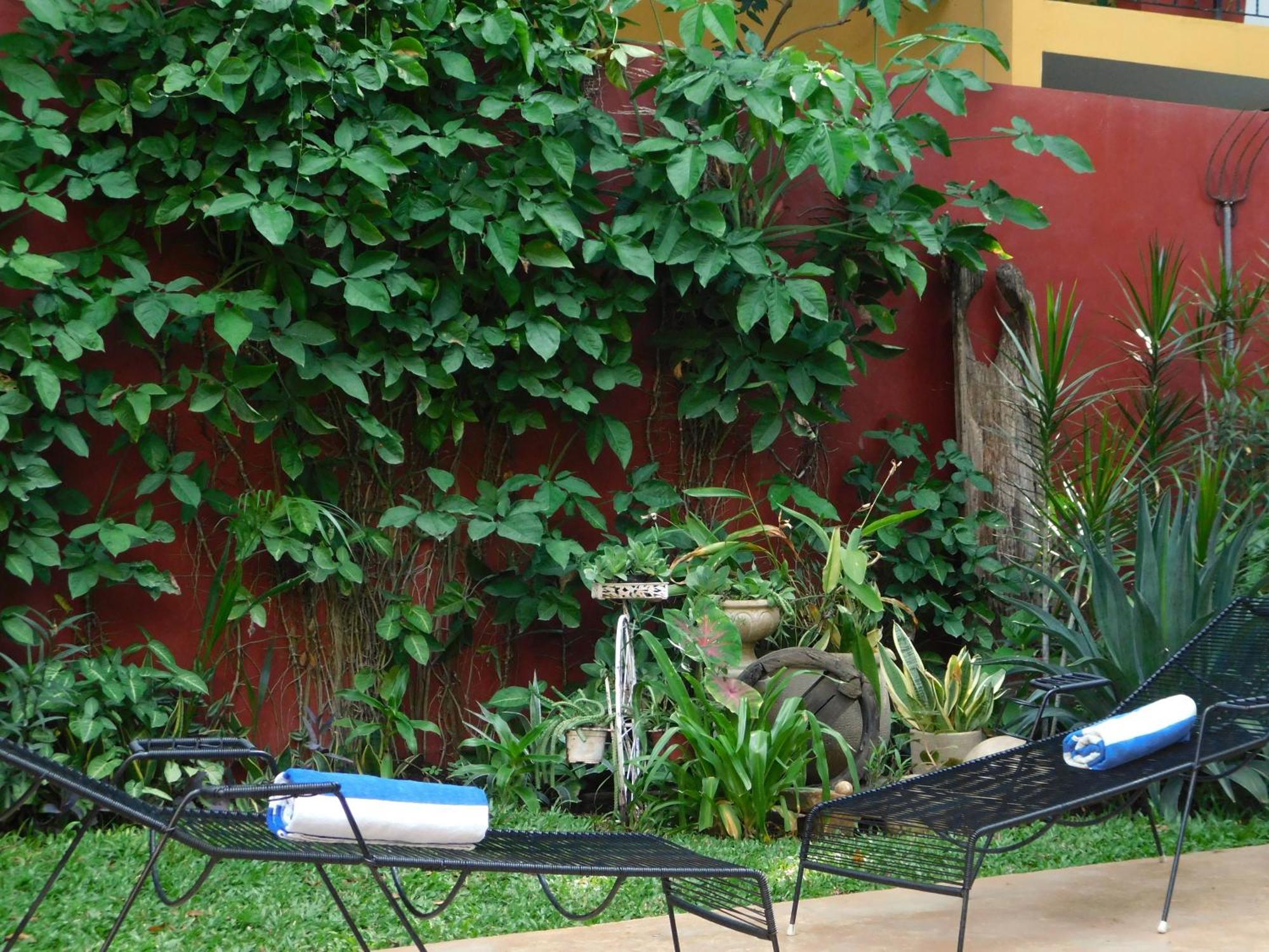 Hotel Boutique Casa Flor De Mayo Mérida Zewnętrze zdjęcie